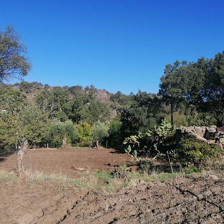 Вілла Casas De Marvao - Quinta Da Bela Vista Екстер'єр фото