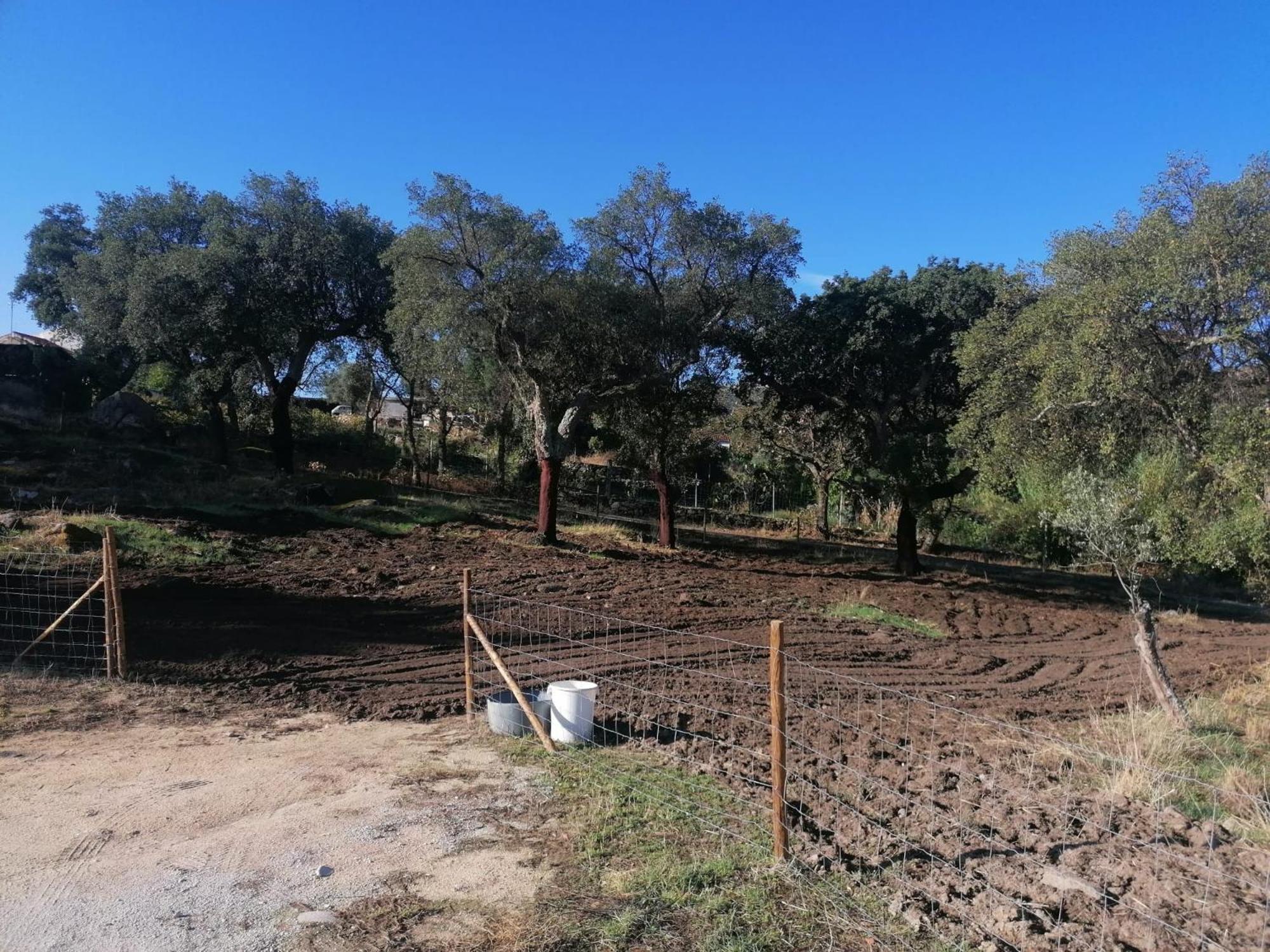 Вілла Casas De Marvao - Quinta Da Bela Vista Екстер'єр фото